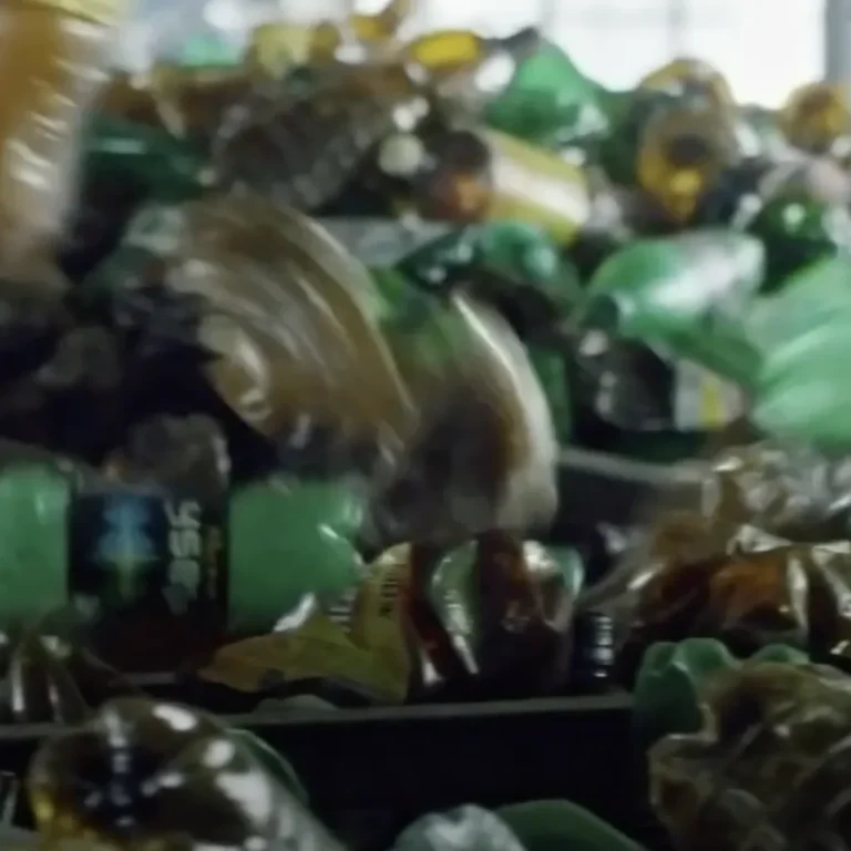 BioTG Le microplastiche sono ovunque!