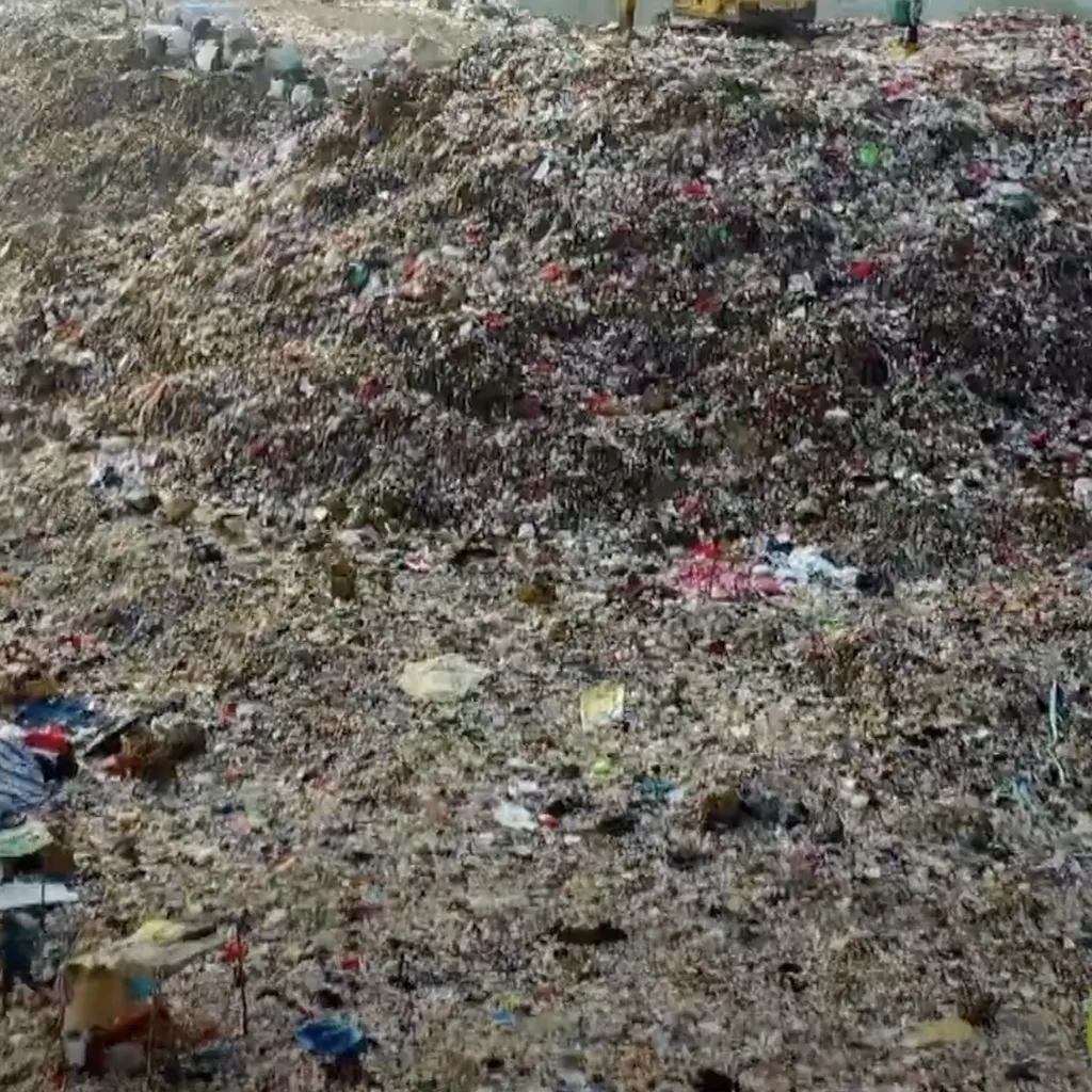 BioTG ecomafie dallo smaltimento illegale alla consapevolezza