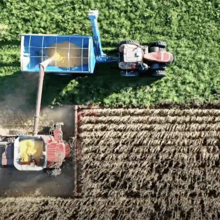 BioTg Un viaggio tra sostenibilità, agricoltura, educazione e mare