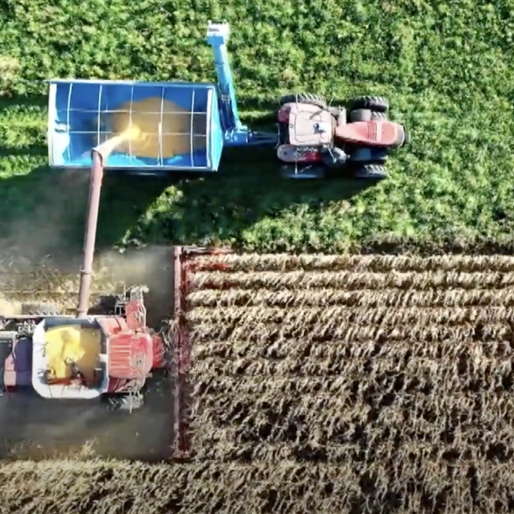 BioTg Un viaggio tra sostenibilità, agricoltura, educazione e mare